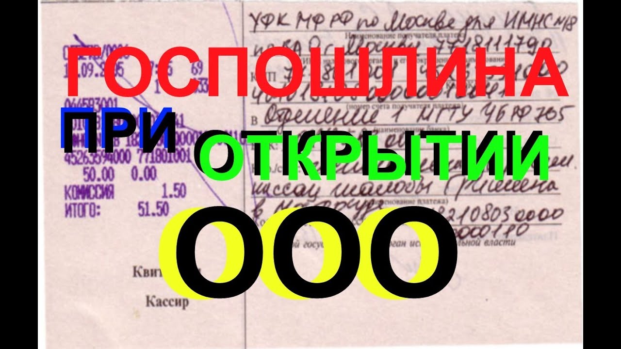 Сколько стоит госпошлина за открытие ООО – подробная информация